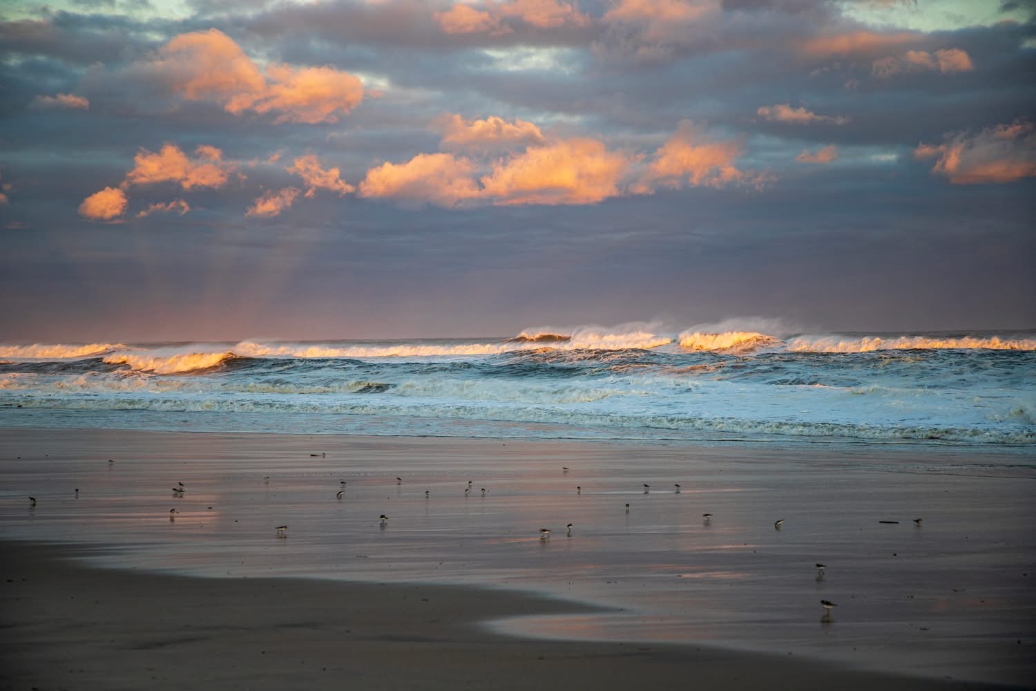 Image (c) Robert Seifert Photography