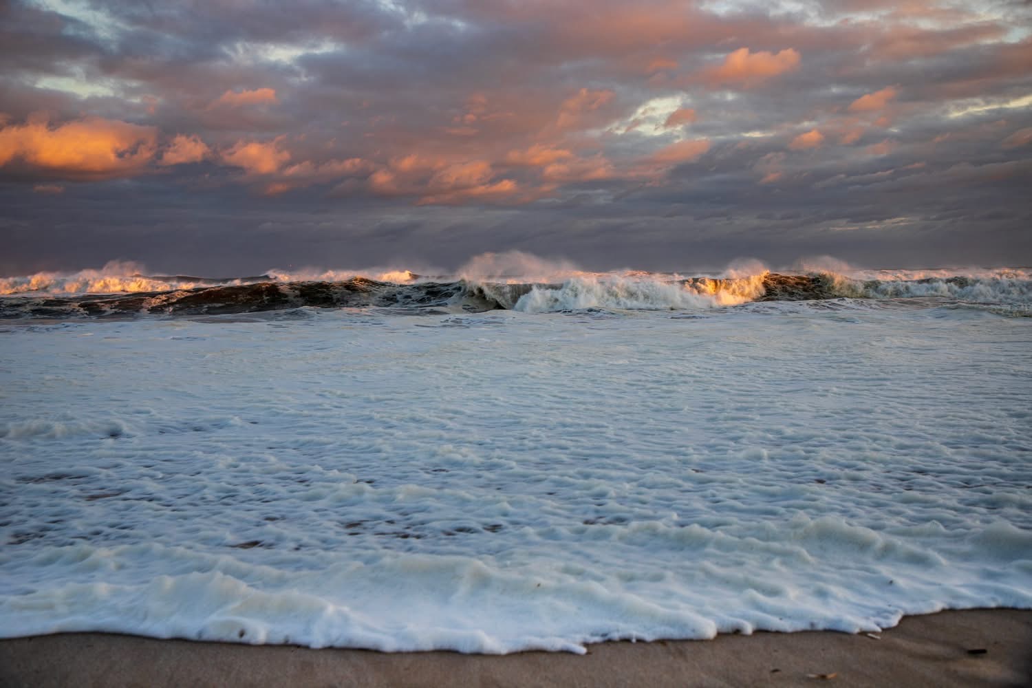 Image (c) Robert Seifert Photography