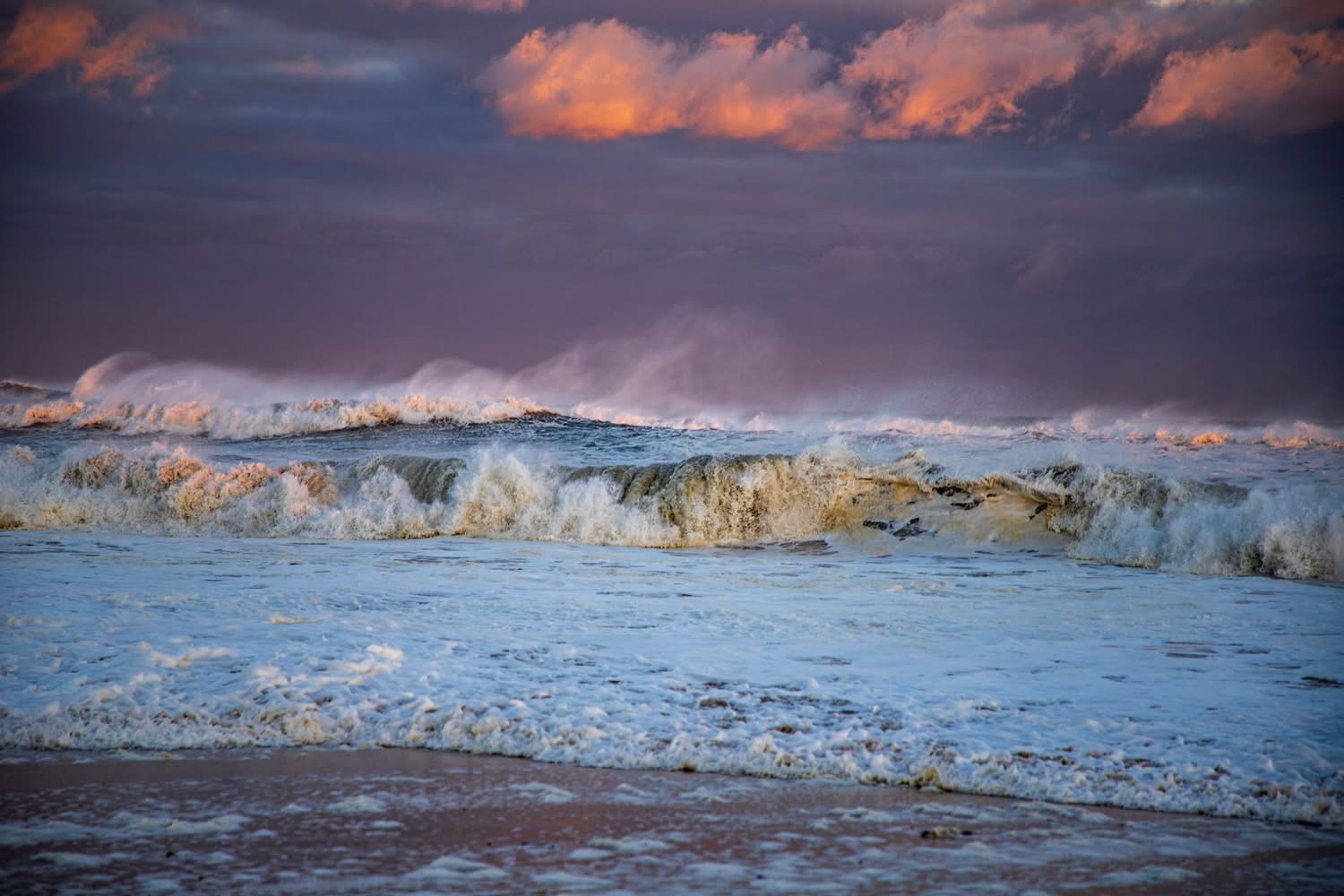 Image (c) Robert Seifert Photography