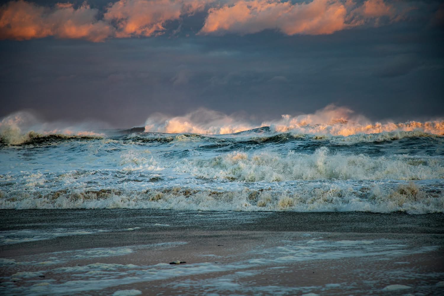 Image (c) Robert Seifert Photography